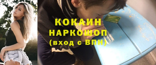 гашик Чердынь