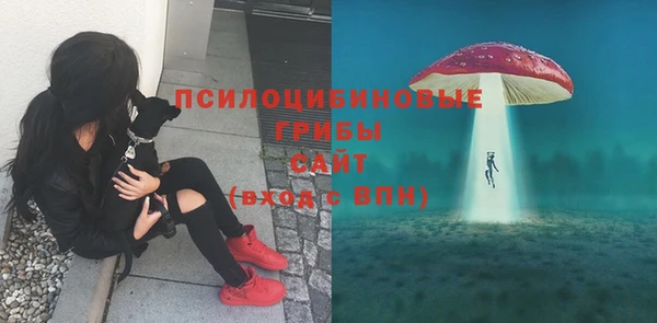 твердый Протвино