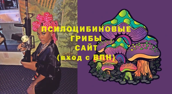 мяу мяу мука Абаза