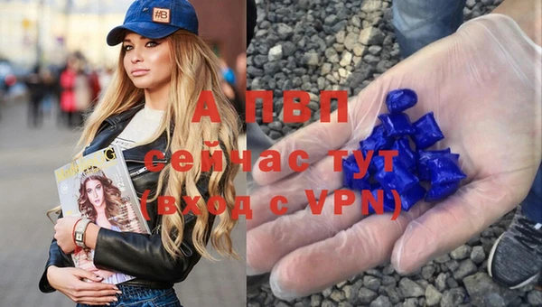 спиды Россошь