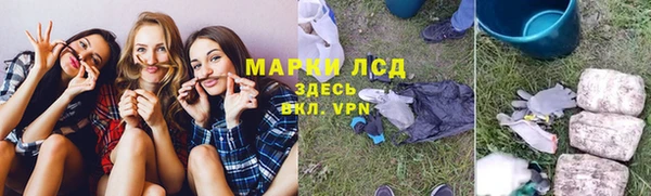 мяу мяу мука Абаза