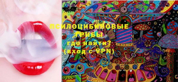 гашик Чердынь