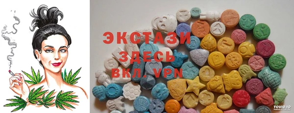 гашик Чердынь