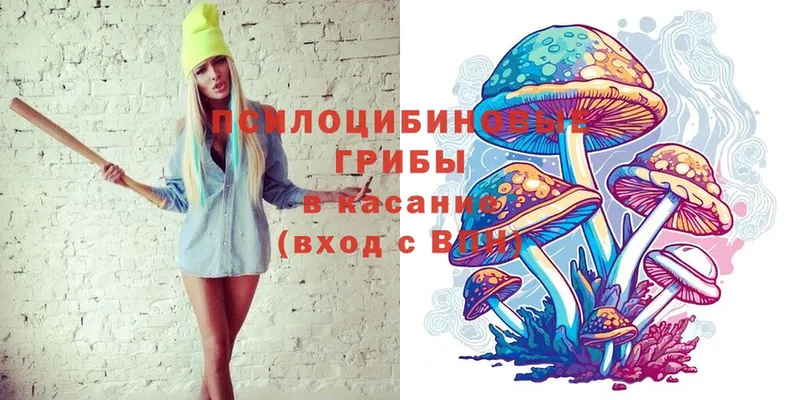 Псилоцибиновые грибы ЛСД Адыгейск